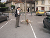 Cliquez ici pour voir l'image (P9012615__ (7).JPG)